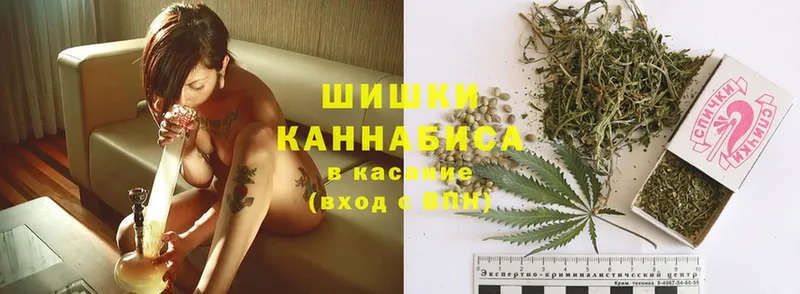 Шишки марихуана SATIVA & INDICA  KRAKEN рабочий сайт  Волгореченск 